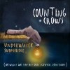 vinyl 2LP COUNTING CROWS UNDERWATER SUNSHINE (OR WHAT WE DID ON OUR SUMMER VACATION)