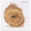 WILCO A Ghost Is Born (Vinylová platňa / 2LP)