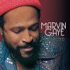 MARVIN GAYE Collected (Silver, White Vinyl)
