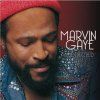 MARVIN GAYE Collected (Silver, White Vinyl)