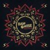 BAMWISE Soundproof (LP)