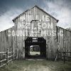 WILLIE NELSON Country Music