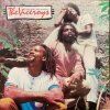 THE VICEROYS Brethren And Sistren (LP)