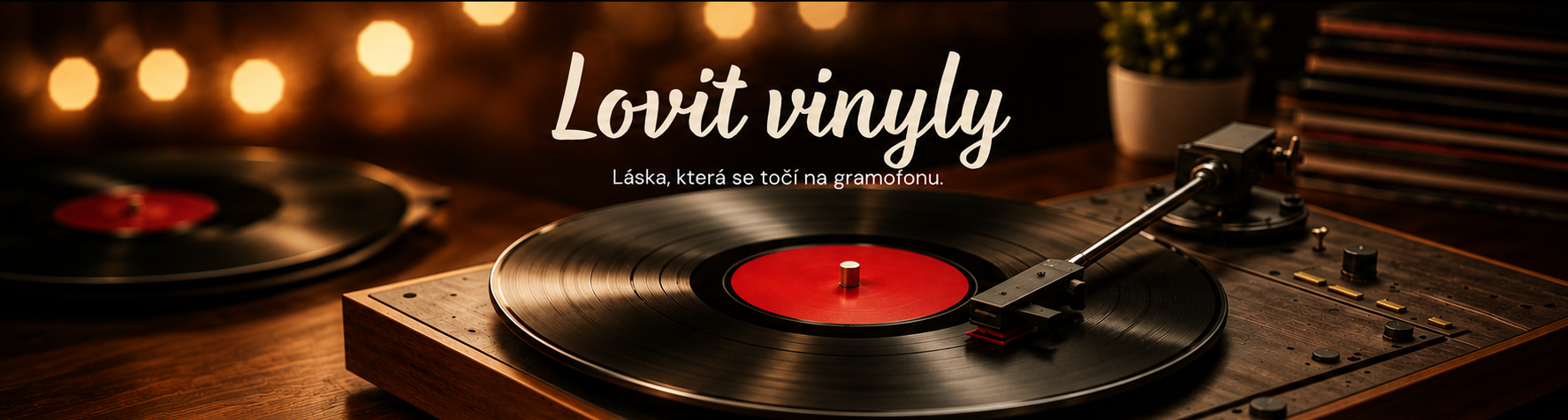 Lovit vinyly
