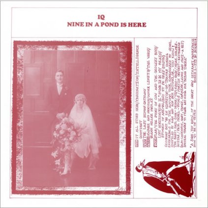 29517 iq nine in a pond is here vinyl lp stav obal lp nm nm