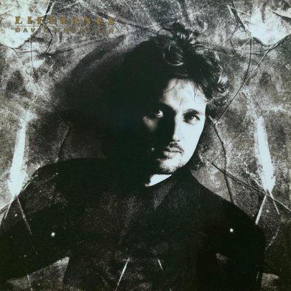 29661 knopfler david lifelines vinyl lp stav obal lp nm nm