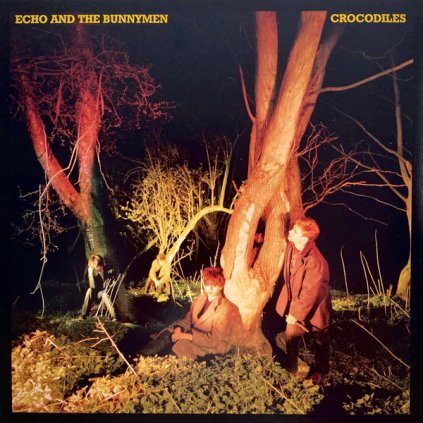 33195 echo the bunnymen crocodiles vinyl lp