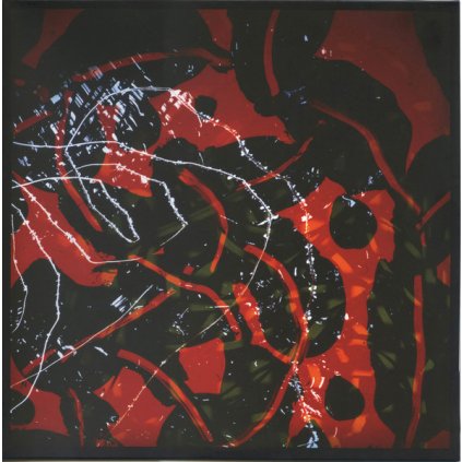 33294 eno brian nerve net vinyl lp