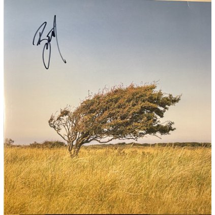 35934 riis bjorn a fleeting glimpse vinyl lp limited coloured