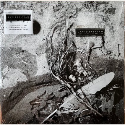 36639 sylvian david secrets of the beehive