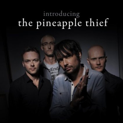 43809 pineapple thief introducing the pineaplle thief cd