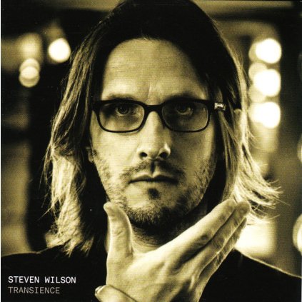 43917 wilson steven transience cd