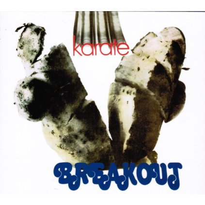 43995 breakout karate cd