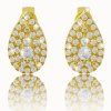 Lavish diamond earrings in 14K yellow gold