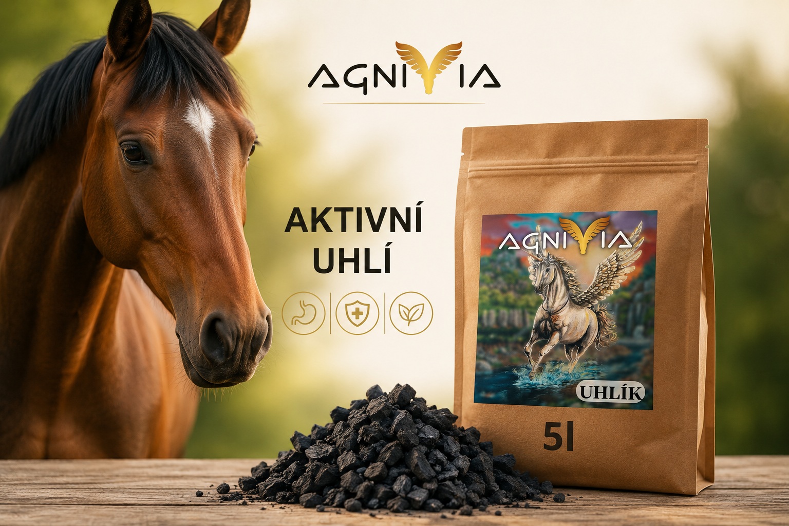 Uhlík pro koně – kdy může pomoci?
