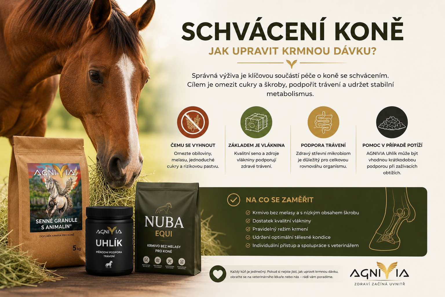 Schvácení koně – jak upravit krmnou dávku?