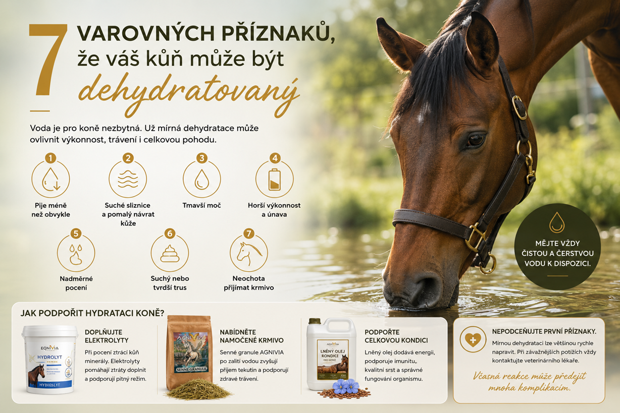7 varovných příznaků, že váš kůň může být dehydratovaný