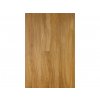 Canadian Design vinylová podlaha lepená 2/0,3mm Dry Back Hamilton CD 152,4x914,4mm