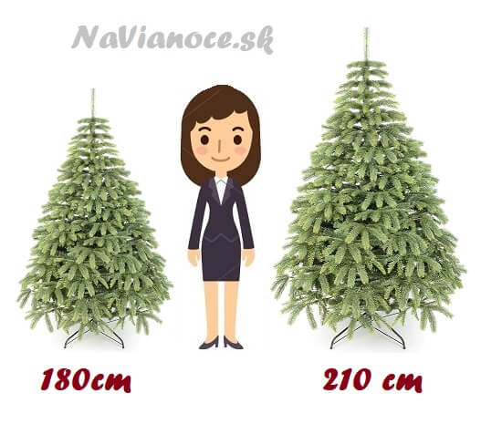 porovnanie-vianocne-stromceky-vyska