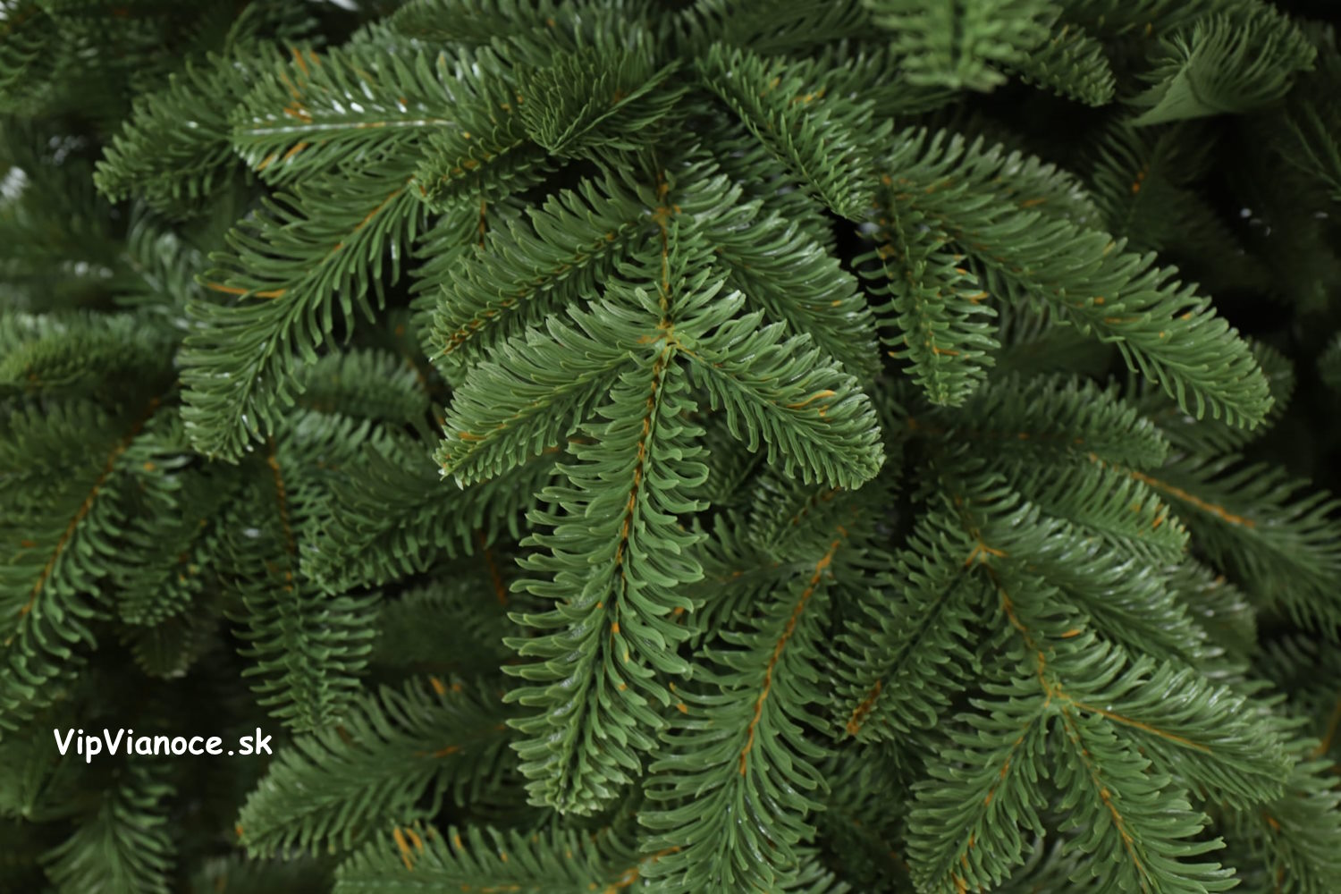 vianocne-stromceky-jedle-normandske-3d-ihlicie