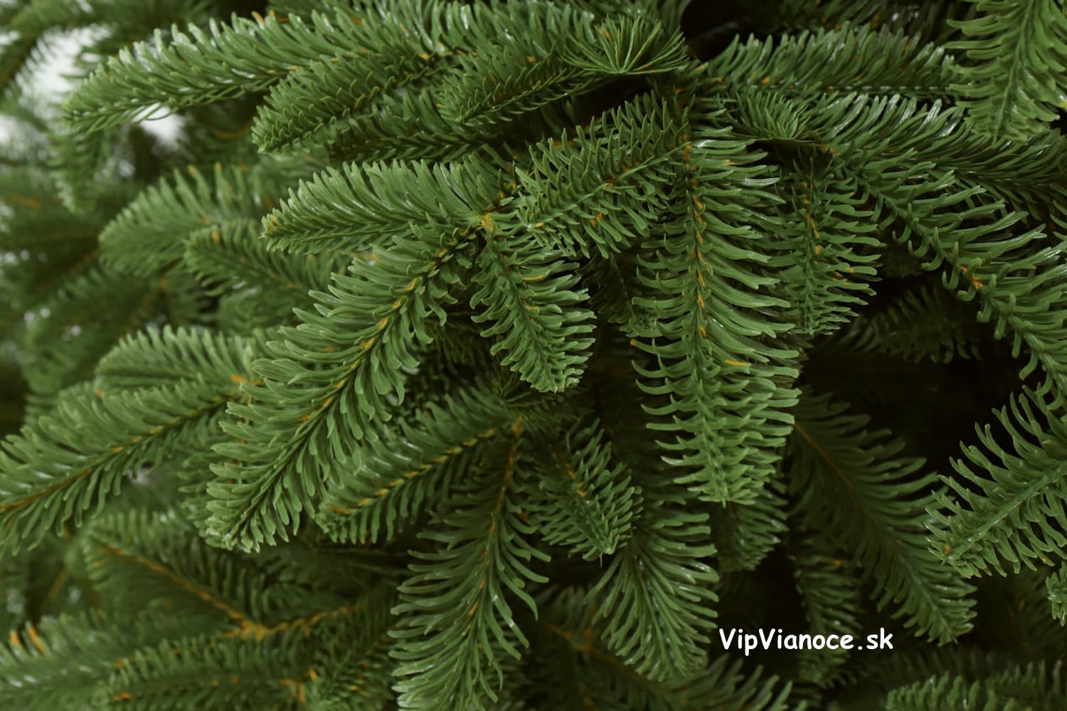 vianocny-stromcek-jedla-normandska-3d-ihlicie