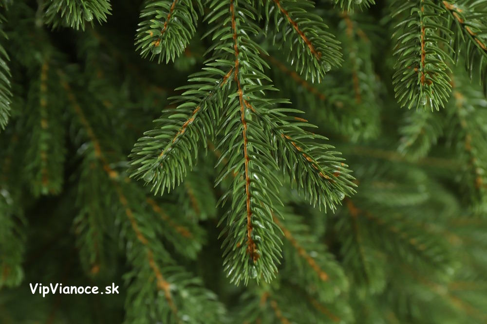 3d-trojrozmerne-ihlicie-vianoce