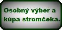 osobný výber vianočného stromčeka