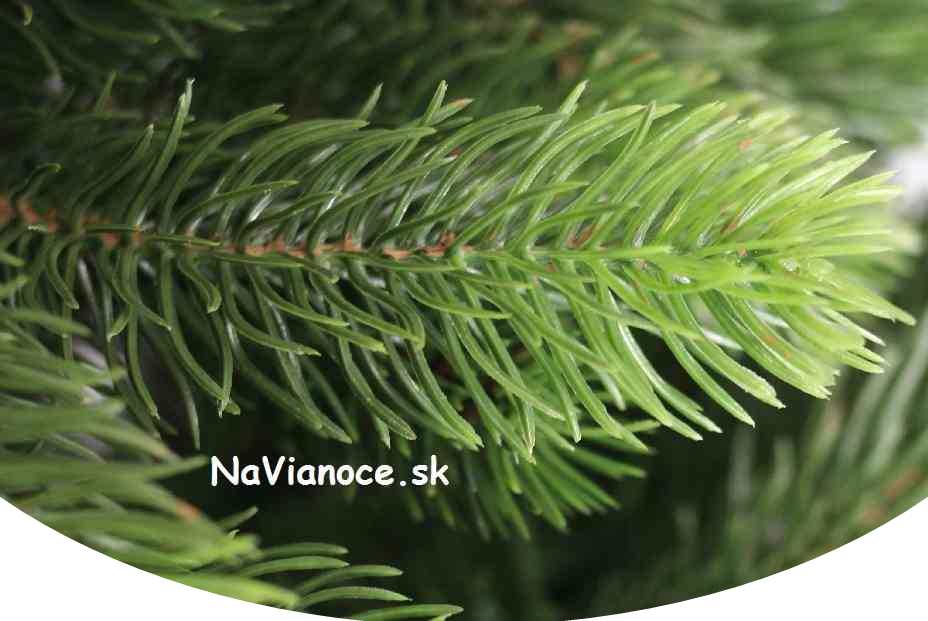 veľké široké vianočné stromčeky 3d ihličie