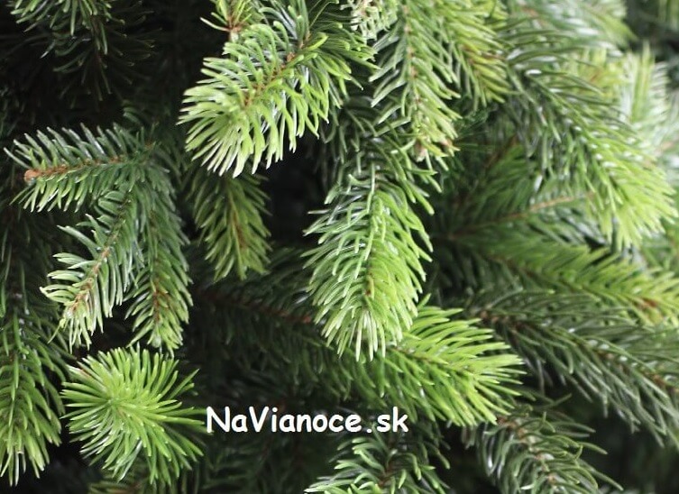 vianočný stromček ihličie 3d na Vianoce