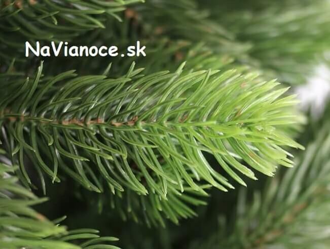 vianočné husté stromčeky