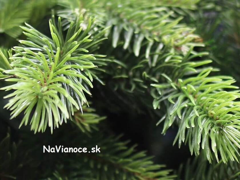 vianočné stromčeky umelé 3d