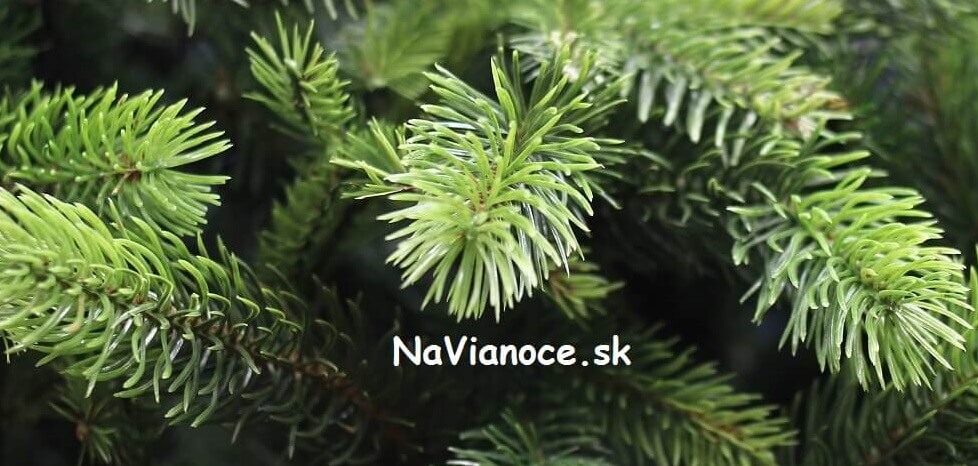 vianočný stromček 3d