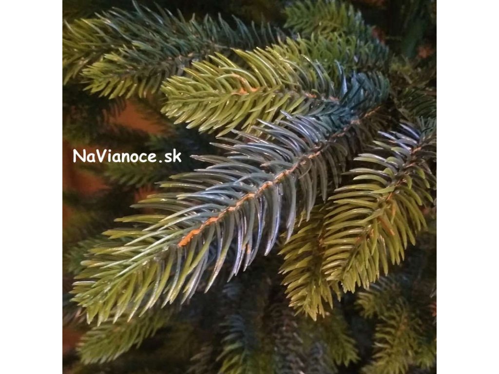 vianočné stromčeky Tuje 3d ihličie