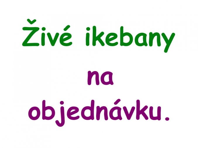 ziva ikebana na objednavku