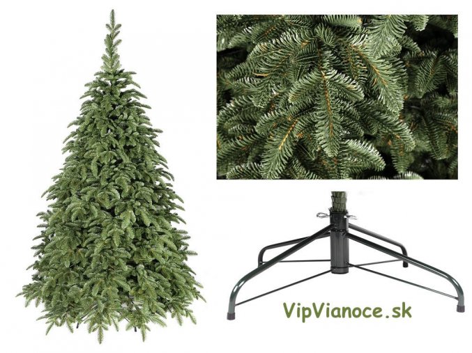 jedla normandska kaukazka 3d