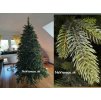 moderny luxusny umely vianocny stromcek 3d ihlicie