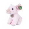 plysove prase 18 cm eco friendly (3)