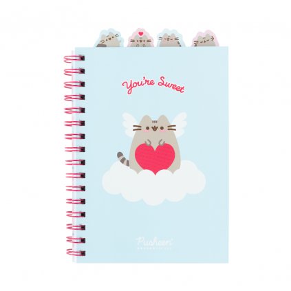 Pusheen linajkový zápisník A5 so strunou