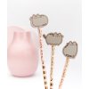 Pusheen - Set ceruziek s gumou 