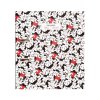 Minnie a Mickey Mouse - Set 2 x zakladač a 2 x týždenný plánovač
