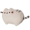 Pusheen - Vankúš 24cm