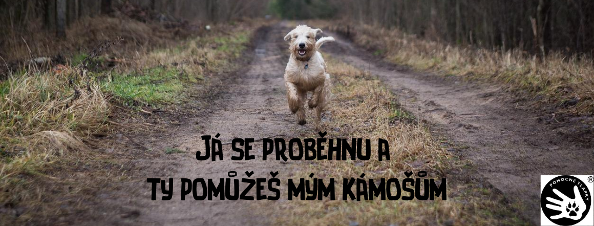 Běh - PC