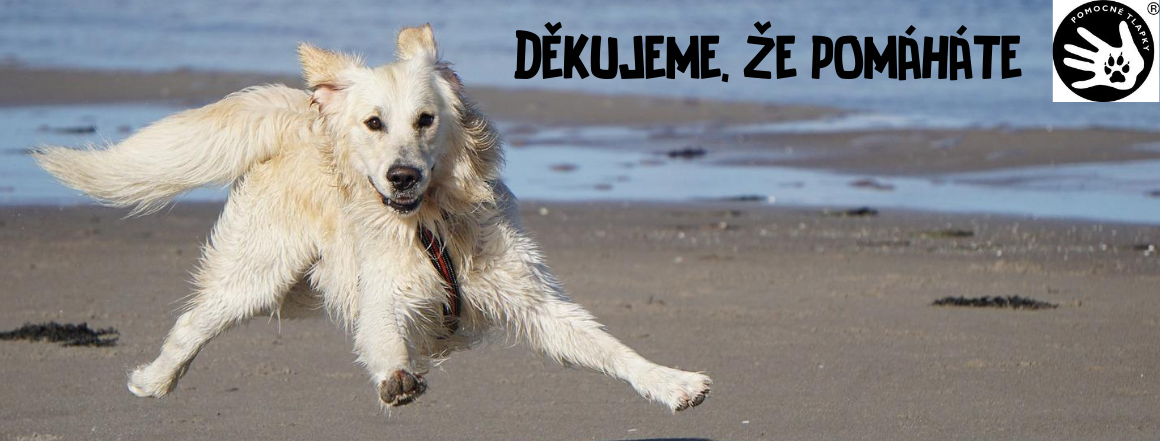 Děkujeme - PC