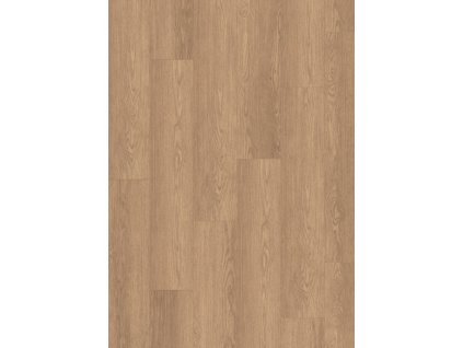 Large EL2134 1292 246 8 mm AC4 4