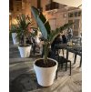 vyrp12 2987Kvetinac LEXO ROUND 80cm azte cz