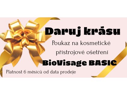 Basic 20251214 175335 0000