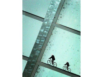 on the bicycles
