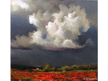 026 Poppies and Clouds