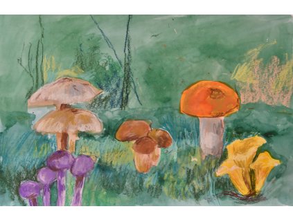 Houby, pastel, A2, 2800 Kč