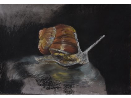 Šnek 1, pastel, A2, 3500